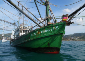 Thai Squid Boat - Power Boat Surveyed by Andaman Marine Surveyors