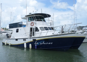 Alucat 53