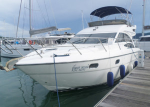 Princess 42
