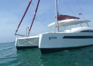 Catathai 29