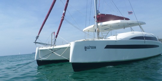 Catathai 29