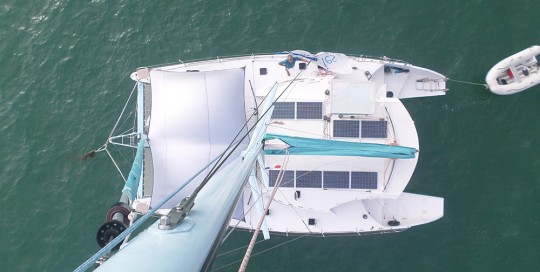 Catathai 40