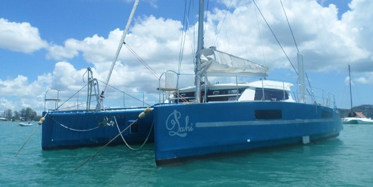 Catathai 50