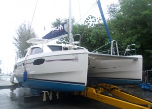 Leopard 39