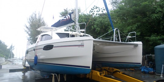 Leopard 39