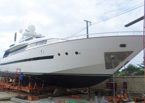 Mangusta 100