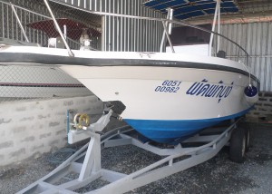 Sea Ray Laguna