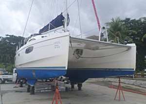 Leopard 38