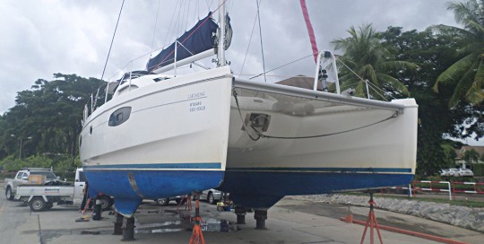 Leopard 38