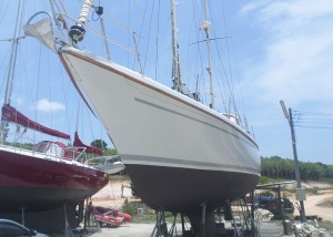Nuovo Vagabond 47