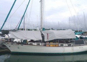 Shearwater 39